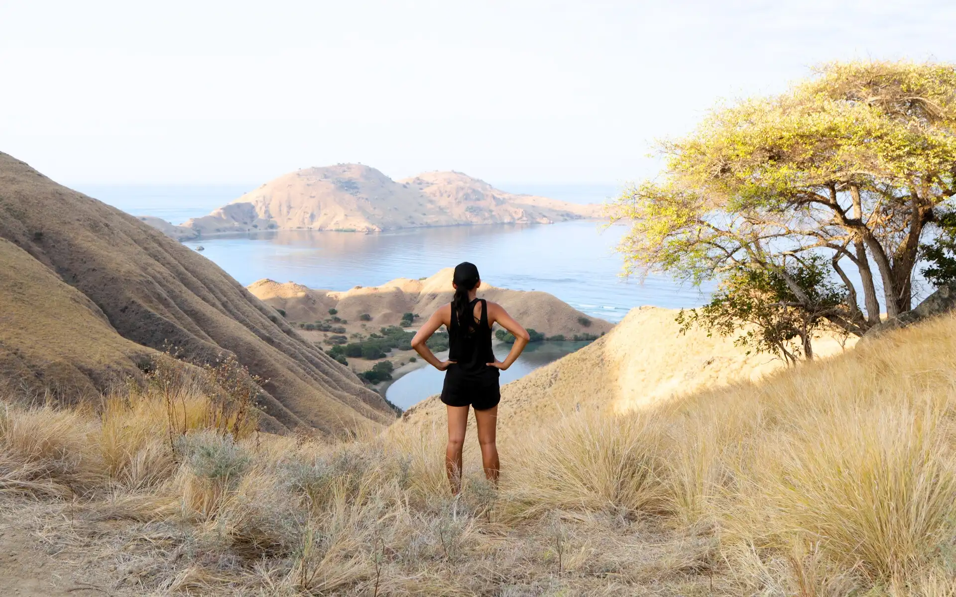 Sailing Through Paradise: Exploring Komodo Island’s Most Breathtaking Destinations on a Luxury Yacht Charter